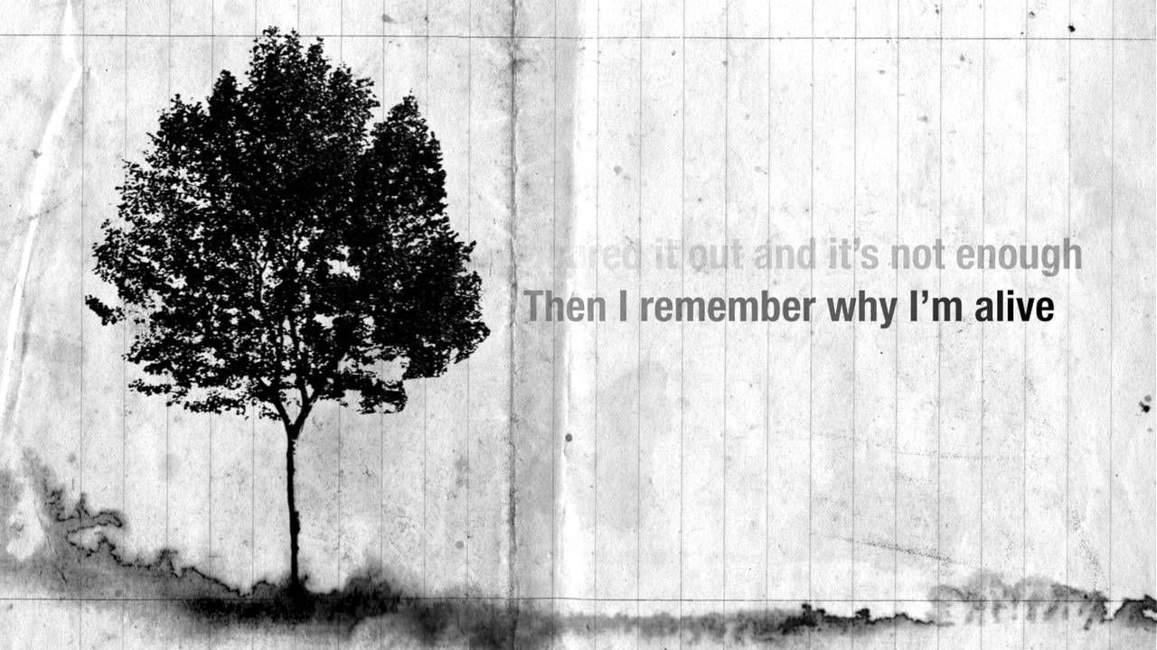 Like A Tree with lyrics YouTube