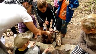 20120929 Kincsvadászat 14. - Hídépítés