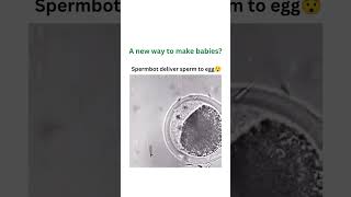 SPERM ROBOT🤖 (SPERMBOT) DELIVERS SPERM TO EGG😮