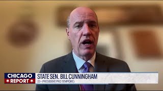 Illinois lawmaker on megaproject bill, AI regulation | The Chicago Report
