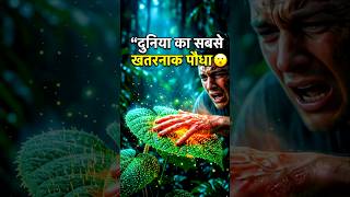 Duniya ka sabse Khatarnak plant #shorts #facts #amazingfacts #science #sciencefacts