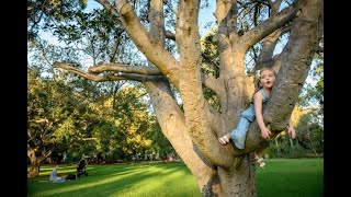 Unley - City of Trees