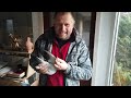 Krzysztof Pruski - gołębie rocznika 2021 na sprzedaż
