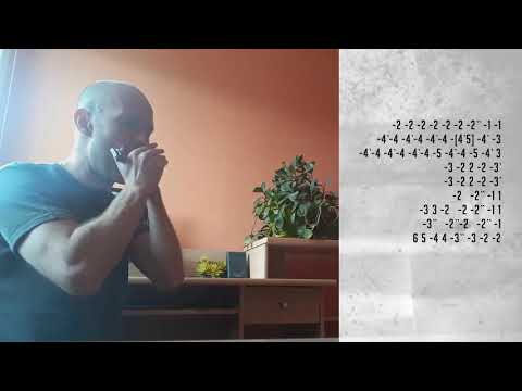 Sonny Boy W. II - Don't Start Me Talkin' (Outro) HARMONICA Hohner Marine Band Classic (C)