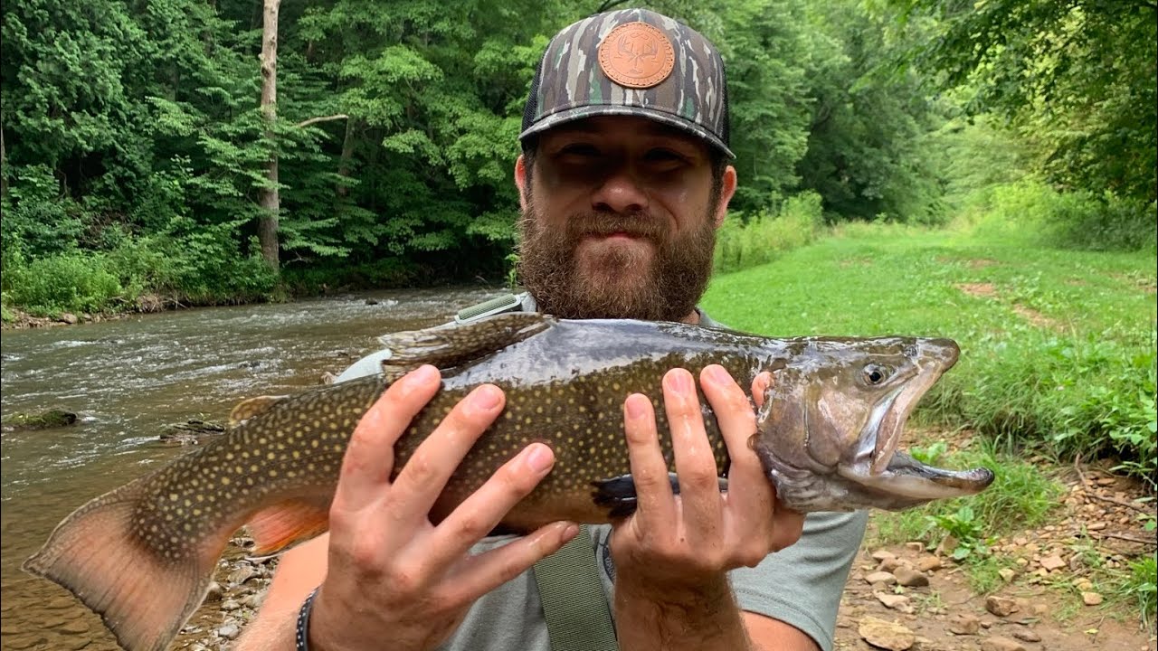 Fishing For Giant Trout at Cripple Creek, VA (PT.2) YouTube