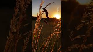 Ankarali Namik Usandım Resimi