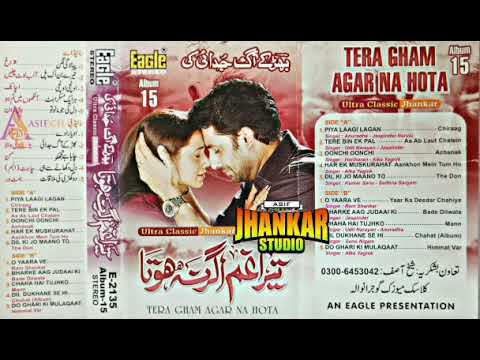 Dil Dukhane Se Hi (( Eagle Ultra classic Jhankar ))