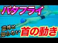 【バタフライ】キック練習で気をつけるべきポイント全て解説【神回】