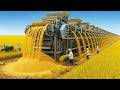 How Rice Becomes a $4.6 Billion Export Through Factory Processing