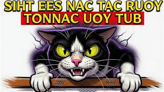 6 STRANGE Things ONLY Your Cat Can See And Hear