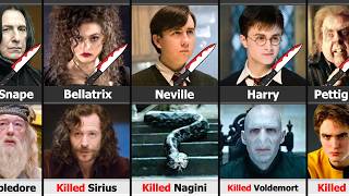 Harry Potter Character Who Killed Other
