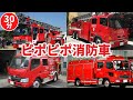 ピポピポ消防車(30分)
