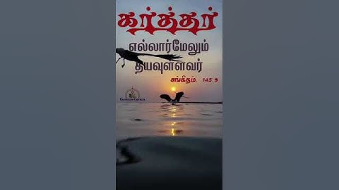 scs videos whatsapp status