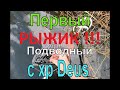 Первое подводное золото - XP DEUS РУЛИТ