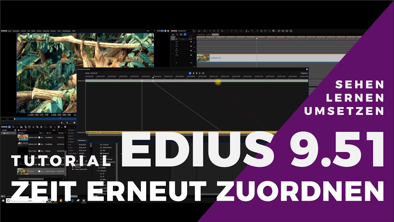 EDIUS - Zeit erneut zuordnen, das Tool zur Videobeschleunigung, Abbremsung und Verlangsamung.