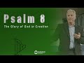 Psalm 8 - The Glory of God in Creation