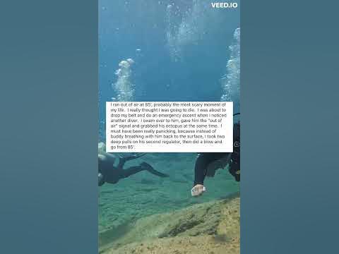 I Nearly Drowned Scuba Diving! #askreddit #shorts - YouTube