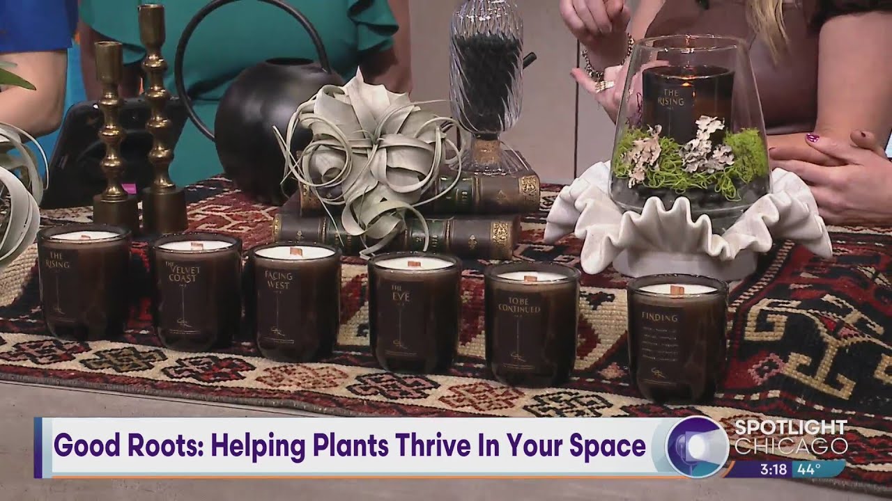 Good Roots Good Roots: Helping Plants Thrive In Your Space - YouTube