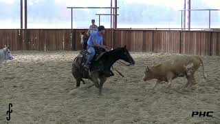 HER HIGHNESS 2019 Bay Mare out of Poo Smoothie paid up for 2022 NCHA Futurity