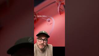 Billions of these transistors sit inside your phone 📱