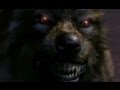 Werewolf Compilation Mashup [Music Video]