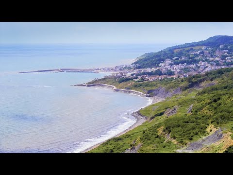 Video: Cura il lyme regis?