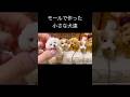 モールで作った小さな犬達 making super cute puppies！ pipe cleaner dog and Bonnie #モール人形 #モールドール #モールベア #モールアニマル