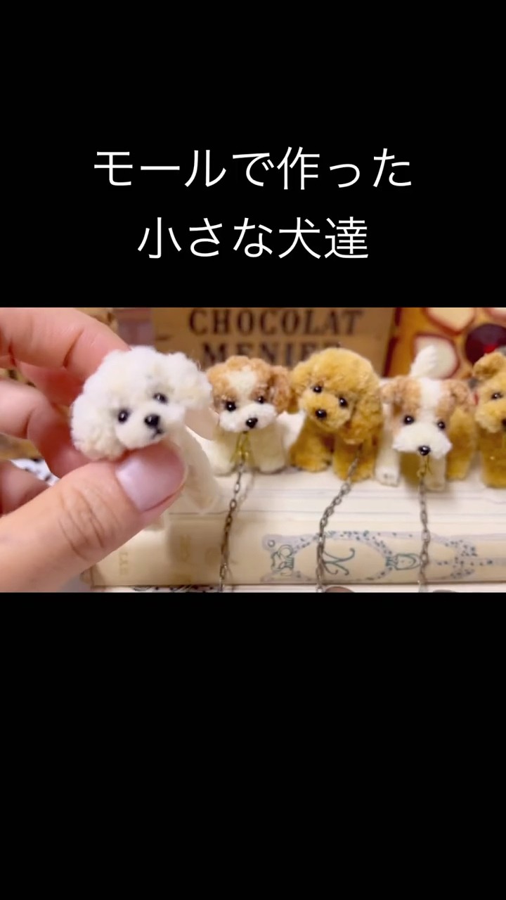 みよんのモールっ子 小さな子犬達 ?media_id=3834542222965135100
