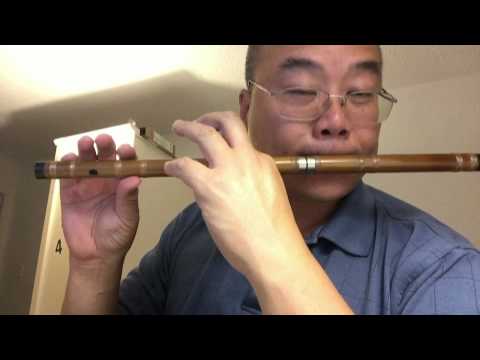 How to Hold a Dizi （中国笛子-如何握笛子） 许卓明