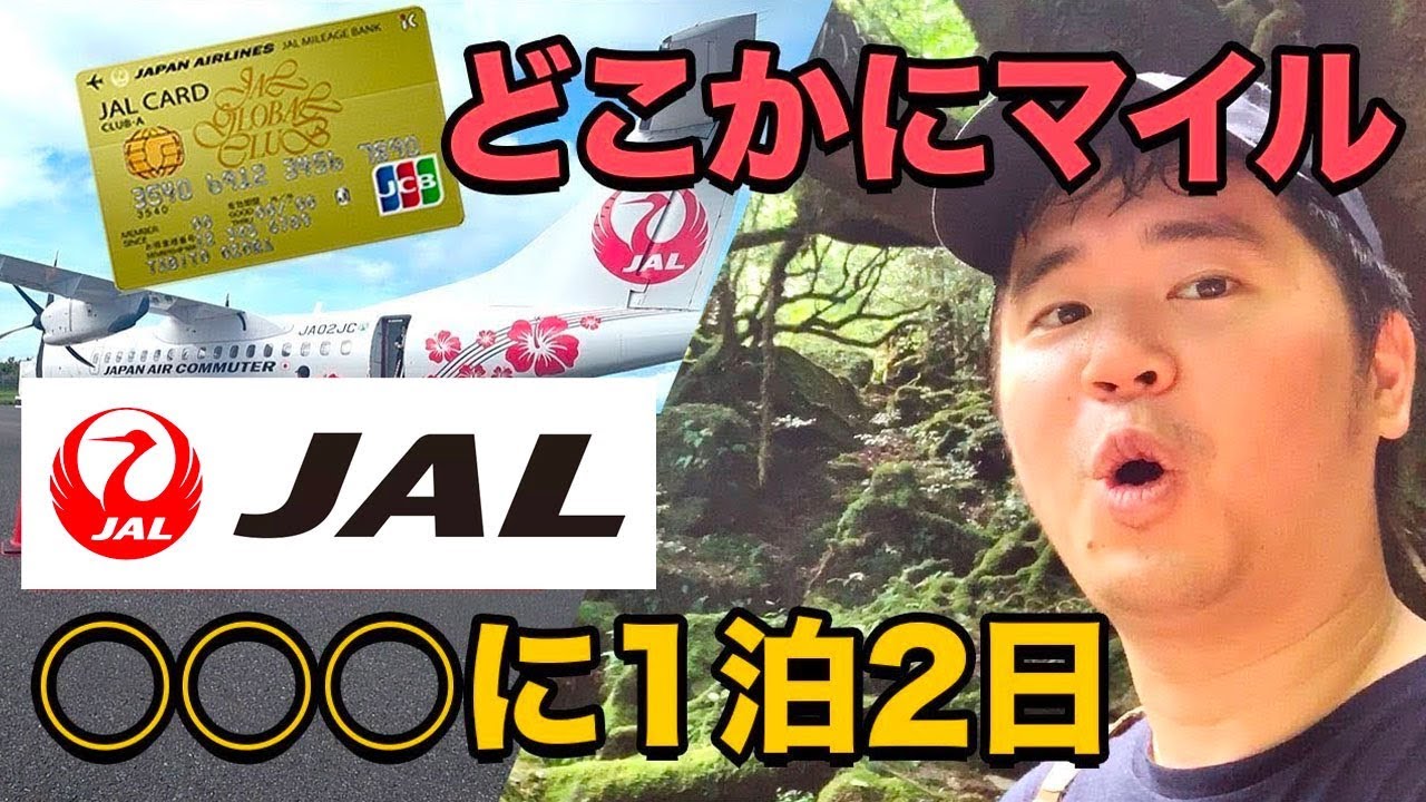 Jalどこかにマイルで当たりでた Jalカードの魅力も改めて紹介 Youtube