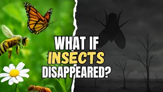 What If All Insects Suddenly Disappeared? 🐝