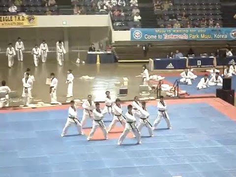 MTEAM WORLD TAEKWONDO HANMADANG 2008