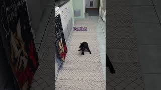 Miss Home Just A Few More Hours Until I See This Sweet Face