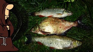 Гнут удилища до воды рвут лески Лучшая рыбалка за последнее время Ночной Реванш 