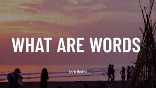 Chris Medina - What Are Words  (Music Video Lyrics)