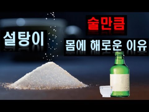 설탕이 술 만큼 몸에 해로운 이유