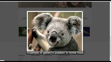 Galllery and Slider Everywhere module for prestashop