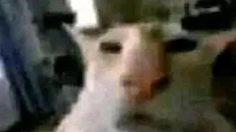 Lil-Peep - Ghost Boy (Lirik terjemahan Indonesia) Lil-Peep - Ghost Boy (Lirik terjemahan Indonesia)