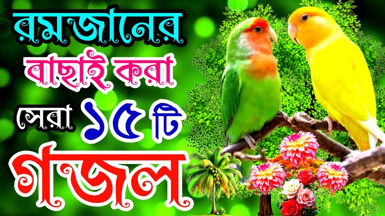 রমজানের সেরা ১৫টি হৃদয় ছোঁয়া গজল |রমজানের নতুন গজল |Ramadan Gojol |New Islamic Best Song | Gazal