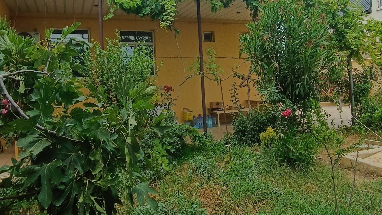 VALLAHI BAX BAX DOYMA YASA ÖMRÜNƏ ÖMÜR GƏLƏSI BIR HEYET EVI SATILIR.