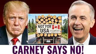 Trump Said the U.S. Doesn’t Need Canada’s Lumber — Reality Hit Quickly!