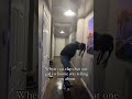 Should’ve listened to him 😂 #viral #funny #comedy #fypシ