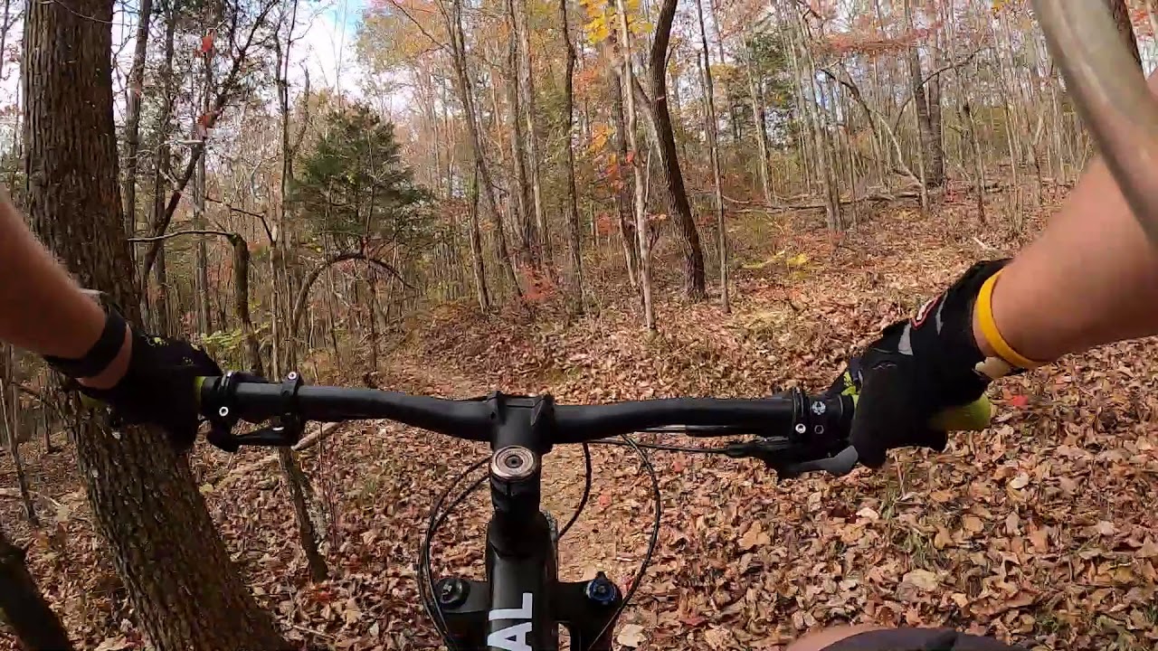 Enterprise South Nature Park Log Rhythm