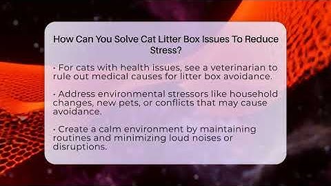 How Can You Solve Cat Litter Box Issues To Reduce Stress? - Happy Cat Handbook