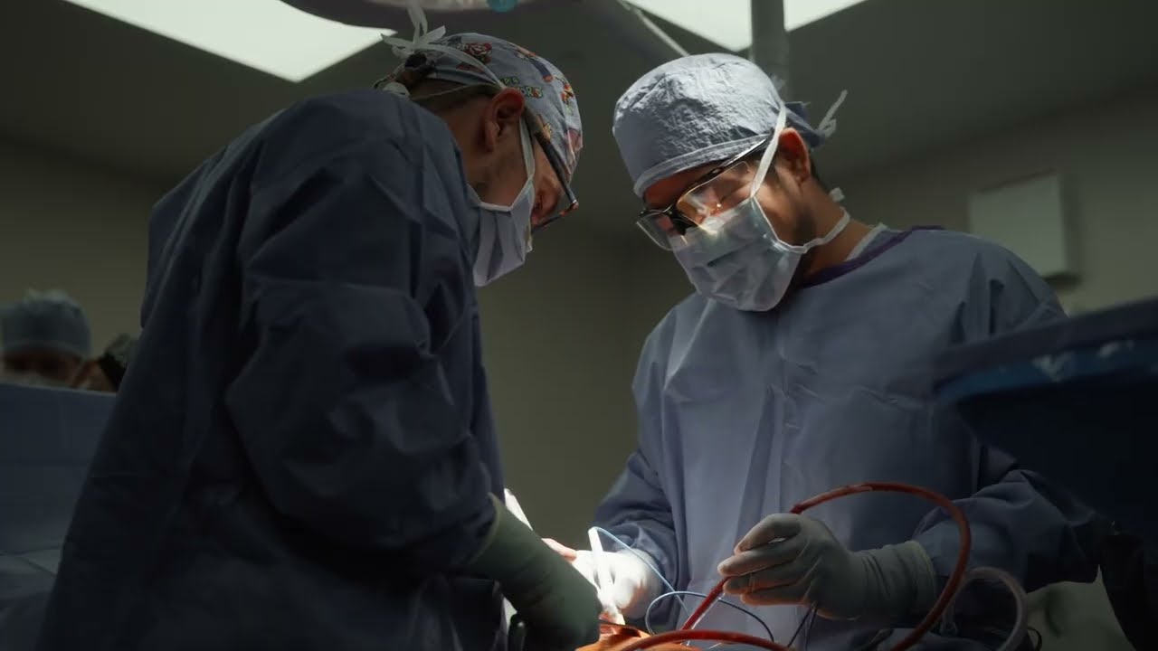 Norton Leatherman Spine: A Legacy of Care and Innovation