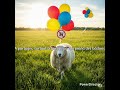 Khutba très courte, les ballons, le bédo, puff...L'AïD, jour de fête, de relation intime, de zikr.