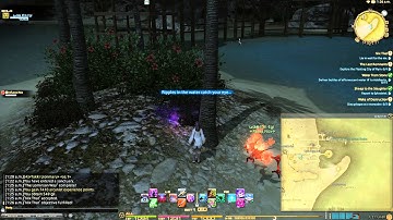 FFXIV ARR - Main Quest Lv.30 - Nix That