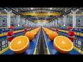 Inside a Mega Orange Juice Factory: From Fresh Oranges to Bottled Citrus Juice (Full Process)