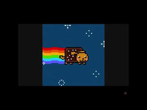 Nyan Dog 4x