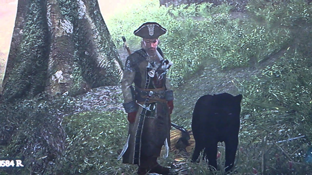 Assassin's Creed Black Flag Jaguar